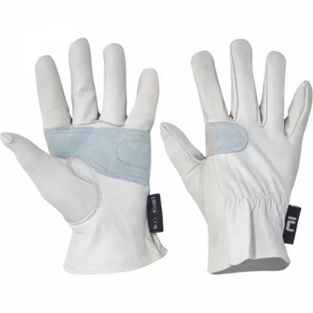 Crecca Színkecskebőr Kesztyű 8