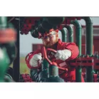 Pallida Bőrkesztyű (9)