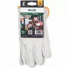 Pallida Bőrkesztyű (8)