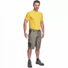 Cremorne Rövidnadrág Világos Olajzöld 60