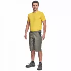 Cremorne Rövidnadrág Világos Olajzöld 62