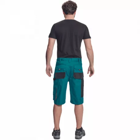 Ff Carl Be-01-009 Rövidnadrág Zöld/Fekete 62