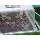 Herrison P2002 Mini Melegágy, 24db-os, 35,5x22x12,5 cm