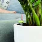 GF Önöntöző virágcserépbe virágcserép átmérő 25-35 cm, 0,7 L