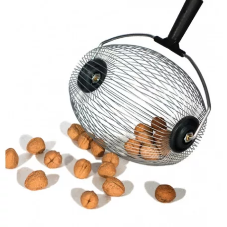 Dió szedő fa nyél 1500 mm