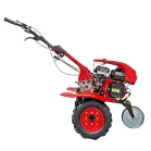 Benzinmotoros kapálógép PG64907