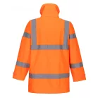 17528_altpic_1.jpg