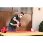 Festékszóró Pisztoly Kompresszorral Strend Pro Js-Fb17AII, 650W, 800 ml