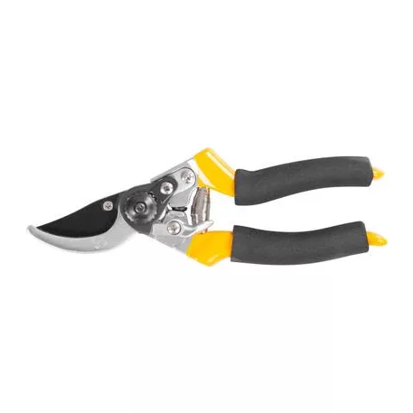 Kertiolló (Szivacs)