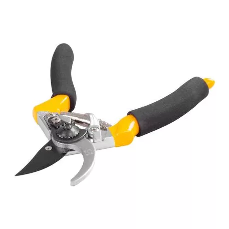 Kertiolló (Szivacs)