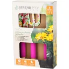Szerszámkészlet Strend Pro, kerti, 3 részes, virágmintás, Ladies line