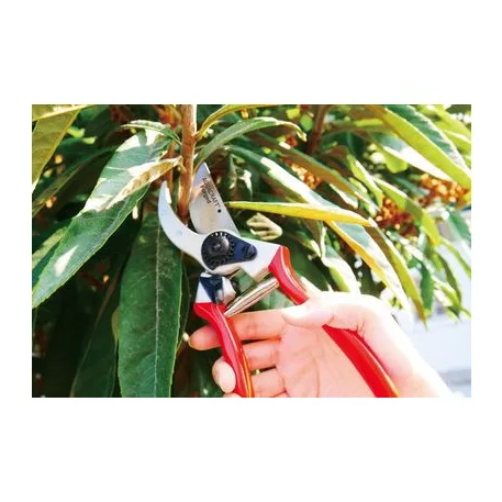 Olló AQUACRAFT® 330500, kerti, ágvágó, kovácsolt, övtáskával