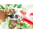 Olló AQUACRAFT® 340270, kerti, ágvágó, kovácsolt, övtáskával