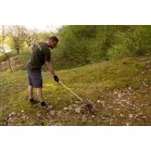 Lombseprű (Lamellás)