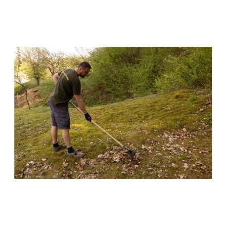 Lombseprű (Lamellás)