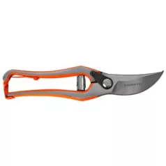 Kerti Olló, Szőlő