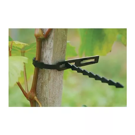 Garden Hg6171-C Gyorskötöző 220 mm, 80 darab, Zöld
