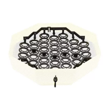 Cleo Rendszer Ipee-6, Fazan Tojás