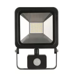 Reflektor Floodlight LED Ag-Hflal10W-P, 10W, 800 lm, IP44