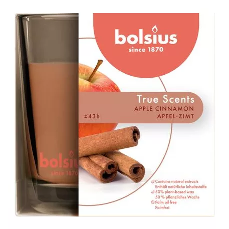 Gyertya Bolsius Jar True Scents 95/95 mm,  fahéj/alma