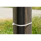 Kábelkötegelő XXL CT66BW, extra ERŐS, 800x9 mm, 50 db, fehér