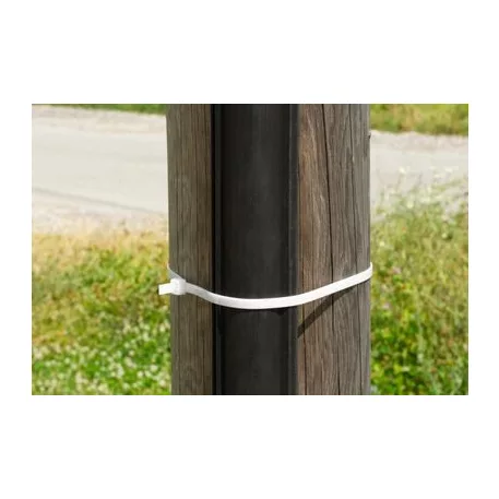 Kábelkötegelő XXL CT66BW, extra ERŐS, 800x9 mm, 50 db, fehér