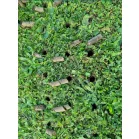 Strend Pro Garden gyepszellőztető, 4 tüskés, 30x102 cm