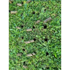 Strend Pro Garden gyepszellőztető, 4 tüskés, 30x102 cm