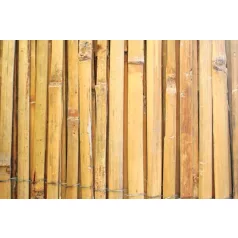 Bambus kerítéselem 1000 mm / L - 5 m
