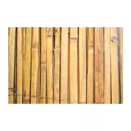 Bambus kerítéselem 1000 mm / L - 5 m