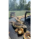 Strend Pro Grill Fiesta, rozsdabarna bevonatú, acél, 100 cm átmérőjű, tűztérrel