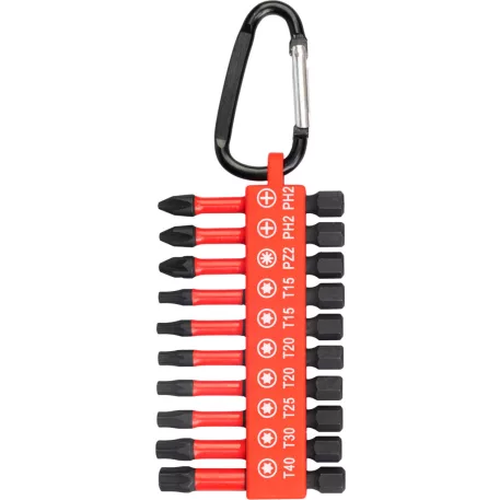 Strend Pro Premium bitkészlet, PH, PZ, TORX, S2 erősségű, 1/4", 50 mm, 10 darabos