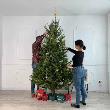 MagicHome állvány, START 2.5, 2,5 m-es fához, 2,5 l, zöld