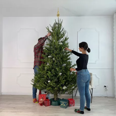 MagicHome állvány, START 3.0, 3,0 m-es fához, 3,0 l, zöld