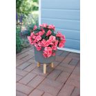 Strend Pro virágcserép, Kávépörlő színű, 20x20x26 cm