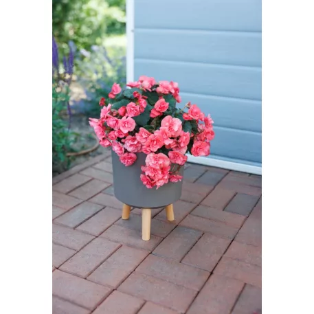 Strend Pro virágcserép, Kávépörlő színű, 20x20x26 cm