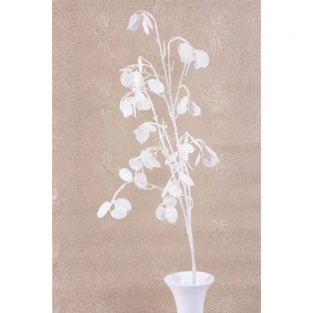Dekoratív ág MoneyPlant.White, fehér, 56/107 cm