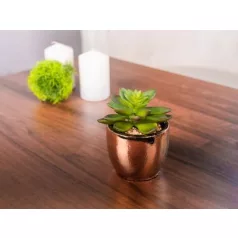 Sukulent MagicHome, 12 cm, kerámia-cement, arany