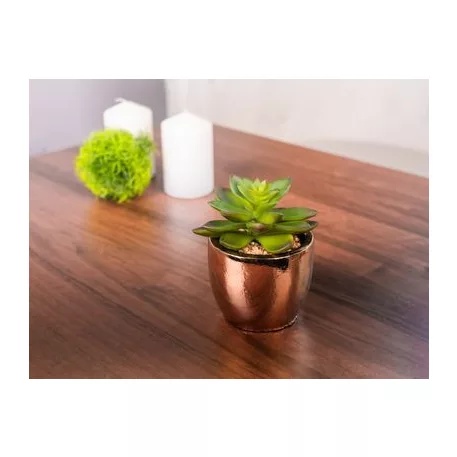 Sukulent MagicHome, 12 cm, kerámia-cement, arany