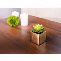 Uborka szukkulens, MagicHome, 10 cm, kerámia kerámia, arany