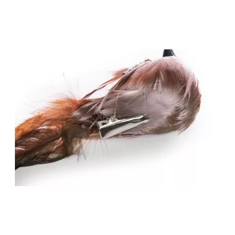 Madarak Csipesszel Magichome, Barna, 15x5x5 cm, pár