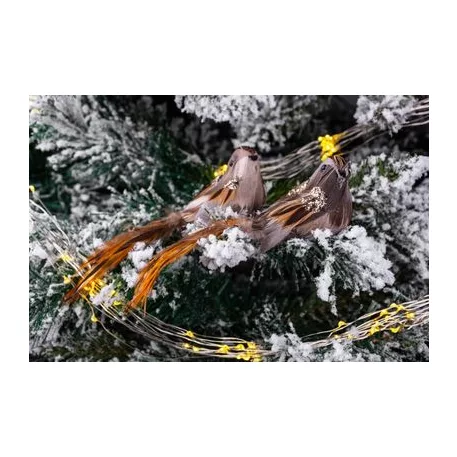 Madarak Csipesszel Magichome, Barna, 15x5x5 cm, pár