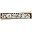 Virág Pünkösdirózsa Levéllel, Világoszöld, Szár, csomag 6 db