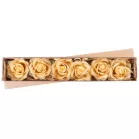 Virág Rózsa, Arany, Szár, csomag 6 db