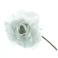 Virág Pünkösdirózsa, Zöld, Szár, csomag 6 db