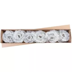 Virág Pünkösdirózsa, Zöld, Szár, csomag 6 db