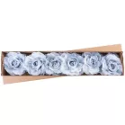 Virág Pünkösdirózsa, Kék, Szárral, csomag 6 db