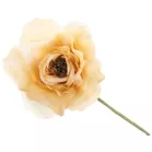 Virág Pünkösdirózsa, Arany, Szár, csomag 6 db