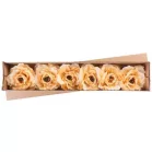 Virág Pünkösdirózsa, Arany, Szár, csomag 6 db