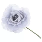 Virág Pünkösdirózsa, Kék-Szürke, Szár, csomag 6 db